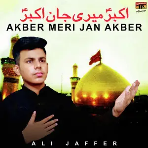 Akber Meri Jan Akber - Single image