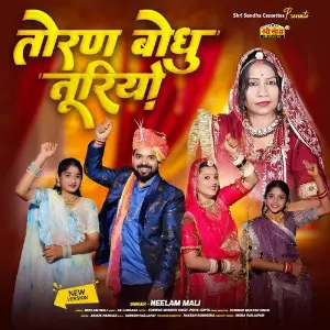 Toran Bodhu Turiyu image