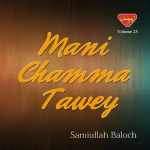 Mani Chamma Tawey, Vol. 25 image