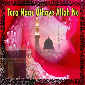 Tera Naaz Uthaye Allah Ne image