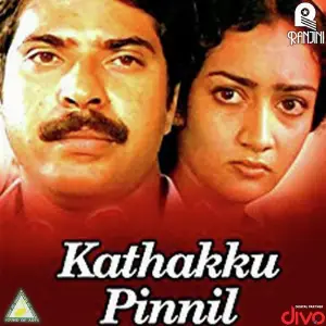 Kathakku Pinnil image