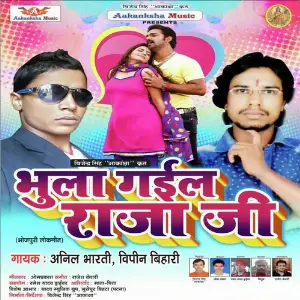 Bhula Gaila Raja Ji image