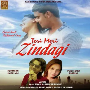Teri Meri Zindagi image