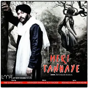 Meri Tanhaye image
