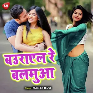 Baurael Re Balamua image