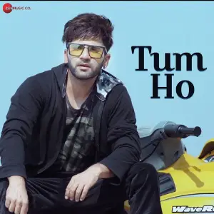Tum Ho image