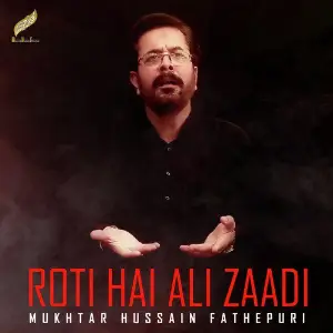 Roti Hai Ali Zaadi - Single image