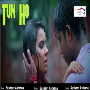Tum Ho image