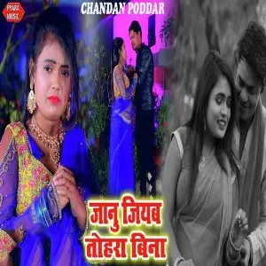 Jaan Jilehab Tohara Bina image