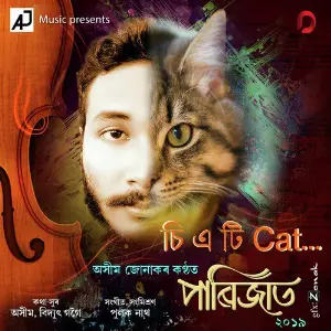 C A T Cat - Single image