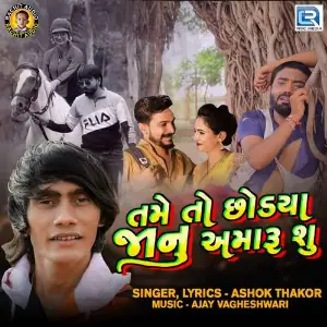 Tame To Chhodaya Janu Amaru Shu image