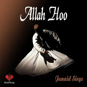 Allah Hoo - Single image