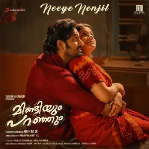 Neeye Nenjil (From Mindiyum Paranjum) image