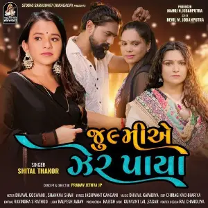 Julmi Ae Zer Paya image