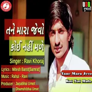 Tane Mara Jevo Koi Nai Male image