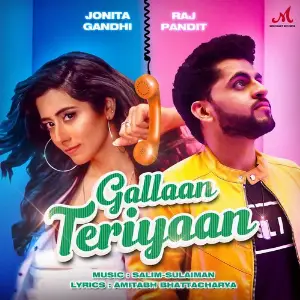 Gallaan Teriyaan image