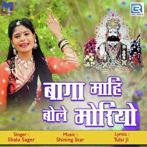 Baga Mahi Bole Moriyo image