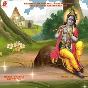 Mein To Jaugi Varindavan Mei (Instrumental) image