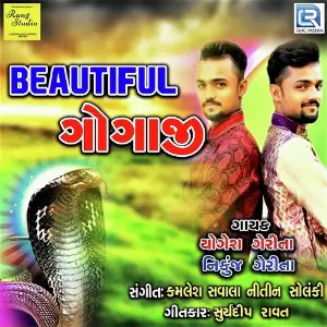 Beautiful Gogaji image