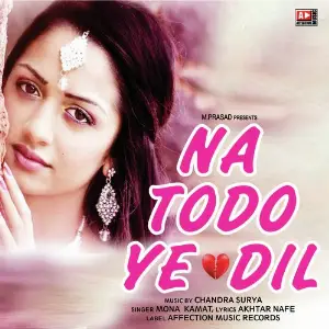 Na Todo Ye Dil image