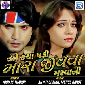 Sajan Tari Yad Vikram Thakor