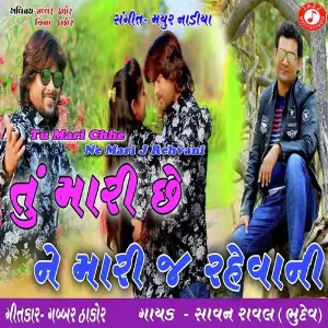 Tu Mari Chhe Ne Mari J Rehvani image