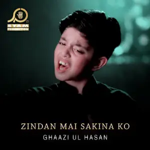 Zindan Mai Sakina Ko - Single image