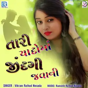 Tari Yaado Ma Jindagi Javani image