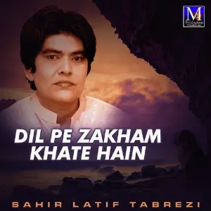 Dil Pe Zakham Khate Hain image