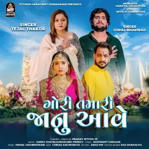 Gori Tamari Jaanu Aave image