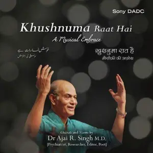 Khushnuma Raat Hai image