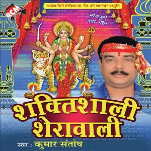 Shaktishali Sherawali image