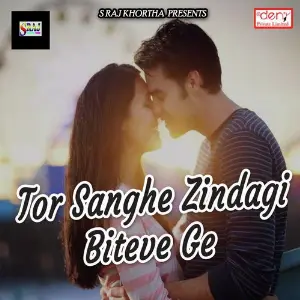 Tor Sanghe Zindagi Biteve Ge Various Artists