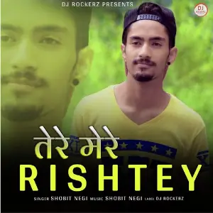 Tere Mere Rishtey image