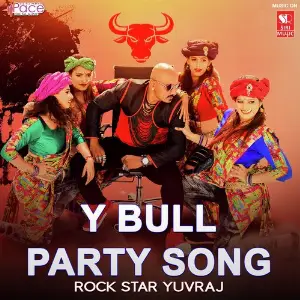 Y Bull Party Song image