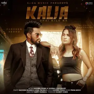 Kalja Dhai Kilo Ka image