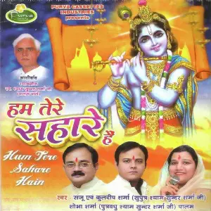 Hum Tere Sahare Hai Various Artists
