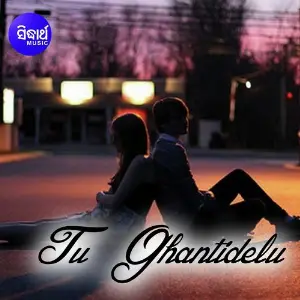 Tu Ghantidelu image
