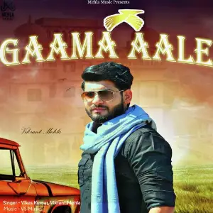 Gaama Aale Vikas Kumar, Vikrant Mehla