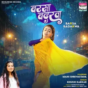 Barsa Badarwa image