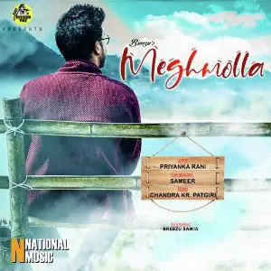Meghmolla - Single image