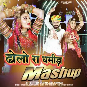 Dholo Ra Dhamida Mashup image