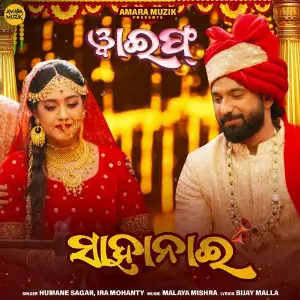 Sahanai (From Wife) image