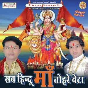 Sab Hindu Maa Tohare Beta image