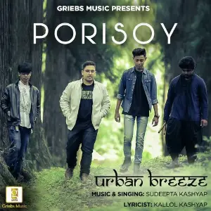 Porisoy image