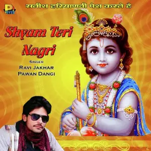 Shyam Teri Nagri image
