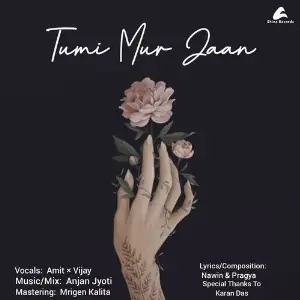 Tumi Mur Jaan image