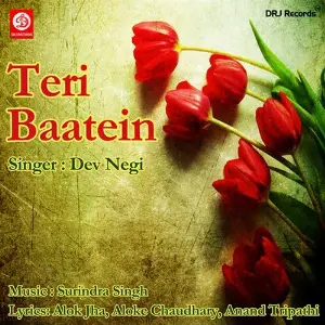 Teri Baatein Dev Nagi
