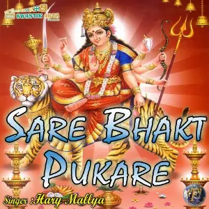 Sare Bhakt Pukare (Navratri Special) image
