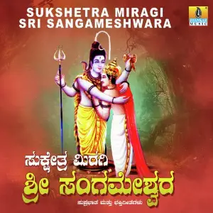 Sukshetra Miragi Sri Sangameshwara image